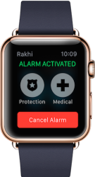 rakhi Alarm activated.png