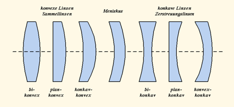Linsenarten.gif