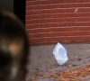 Bild 2.png