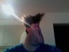 Foto 9.jpg