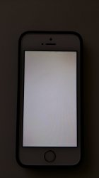 20160502_152611.jpg