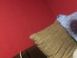 image.jpeg