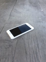 IMG_0242.jpg