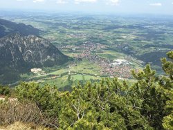 IMG_1697.jpg