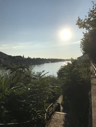 IMG_2825.JPG