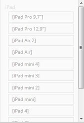 iPad weiter.jpg