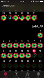 IMG_4483.PNG
