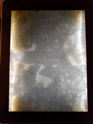 IMG_20170117_210943.jpg