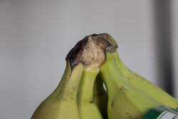 Banane.jpg