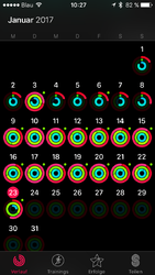 IMG_2336.PNG