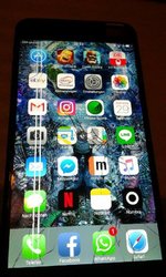 16426760_1262566890502270_1369090995_n.jpg