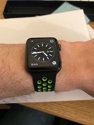 IMG_0295.jpg