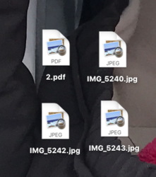 Icon.png