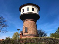 IMG_1297.jpg
