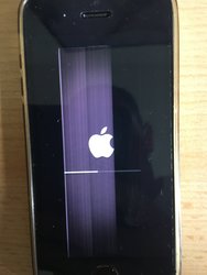 Iphone 5s boot.JPG