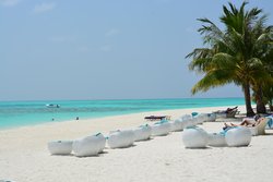 IMG_1421.JPG