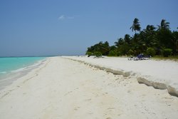 IMG_1425.JPG