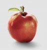 Apfel.jpg