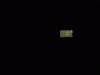 PICT7754.gif