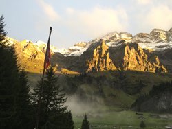 IMG_3133.jpg