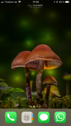04FF0139-3043-47B8-9289-063DE4D56F4A.png