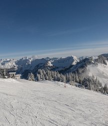 iphone7_raw_entwickelt_2.jpg