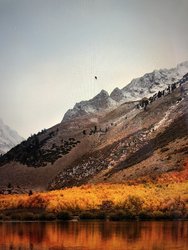 IMG_0343.JPG