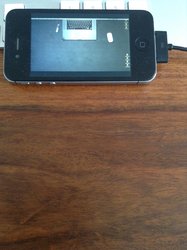 IMG_1267.jpg