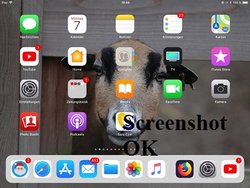 screenshot-ok.jpg