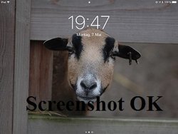 screenshot-ok-2.jpg