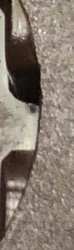image.jpeg