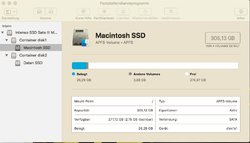 Container disk1 Macintosh.jpeg