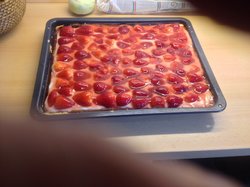 IMG_0812.jpg