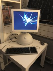 2018-11-04 18.15.47.jpg