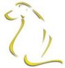 yellowdog-vorlage_p1.jpg