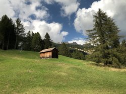 IMG_1826.JPG