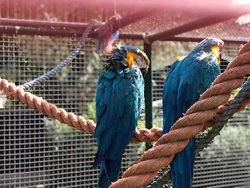 IMG_0953.jpeg