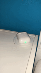 8173B16C-B90E-4B66-8DB1-7B82A9333951.gif
