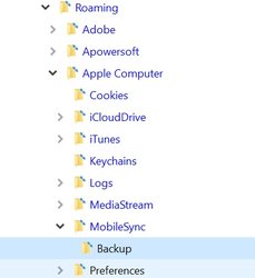 iTunes Backup Ordner.jpg