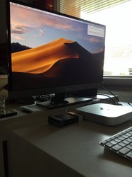 IMG_1705.jpeg