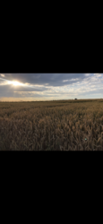 B3D7E04E-CA4C-448D-A3D5-D6DE61704A6D.png