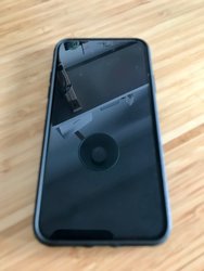 IMG_0020.jpeg