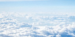 IMG_8348.gif
