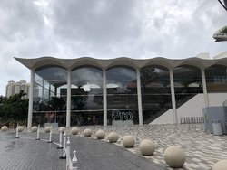 2DE53018-7870-4054-A402-D0CA9747AF6E.jpeg