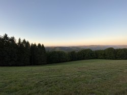 IMG_4801.jpg