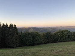 IMG_4802.jpg