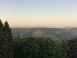 IMG_4803.jpg