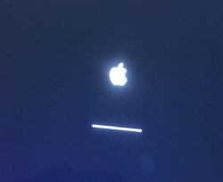 89749633-2D9F-4286-8BF4-4CE8D03E561F.jpeg