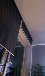 34C36604-37D6-4083-972C-3A7D2EC85902.jpeg