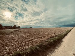 IMG_7380.JPEG